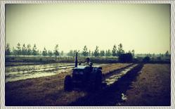 農田循環(huán)利用